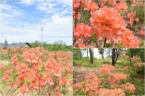 ニュース特急便　2021年5月 （2）