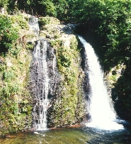 尾花沢