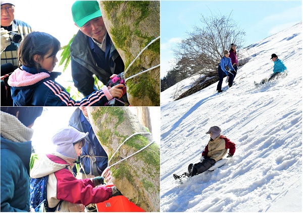 ほその村　メープルサップ採取体験