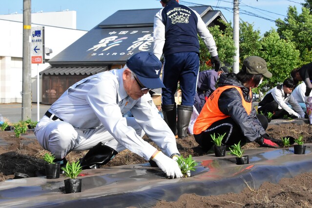 花のかけはし定植作業に参加