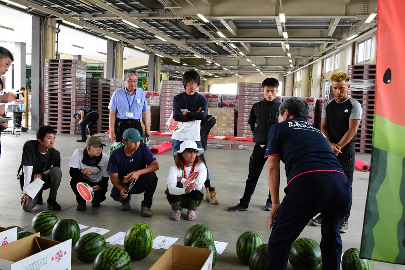 収穫・出荷調整研修２