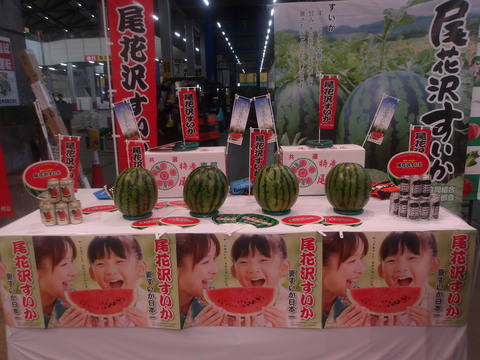 すいか２