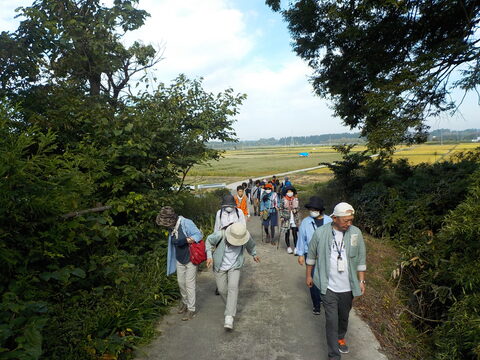 健康フェスタ2025