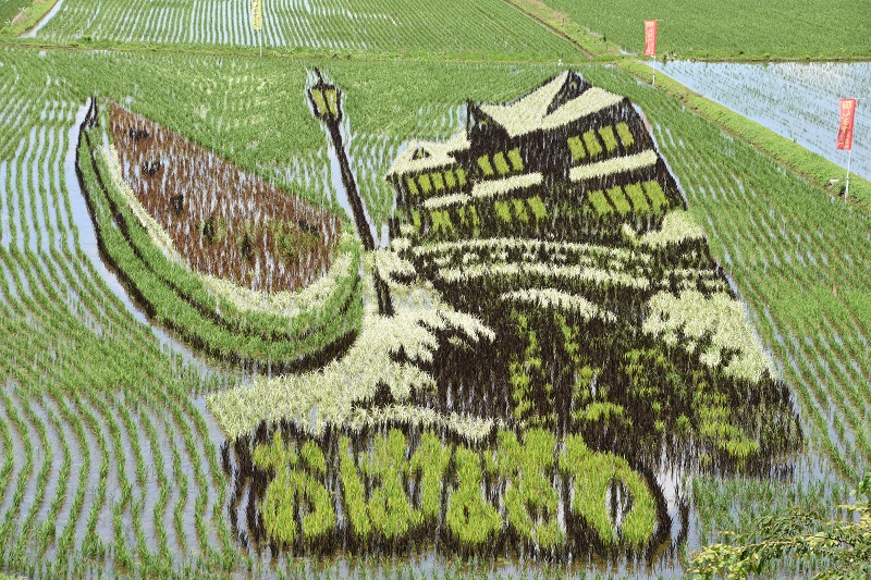 20260624撮影